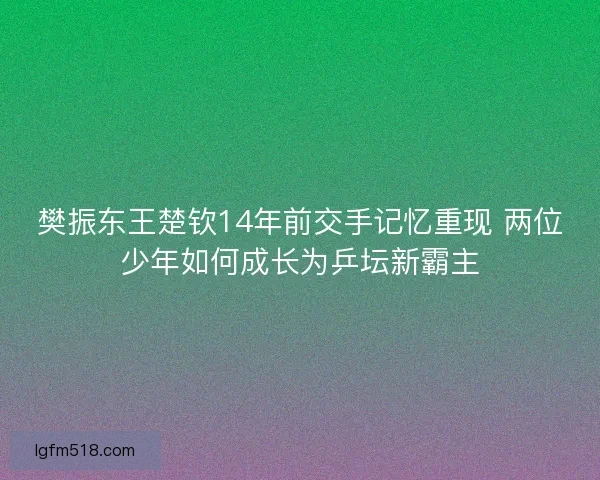 樊振东王楚钦14年前交手记忆重现 两位少年如何成长为乒坛新霸主 樊振东王楚钦14年前交手记忆重现 两位少年如何成长为乒坛新霸主